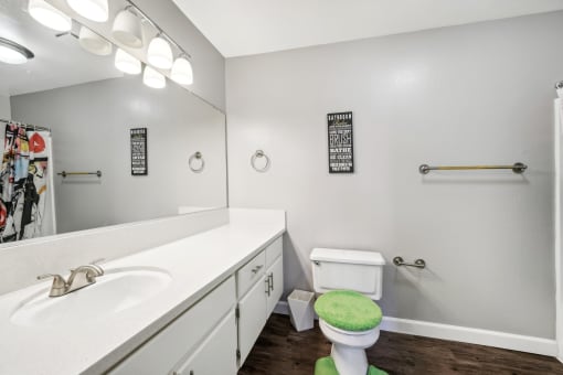 a bathroom with a toilet and a sink and a mirror