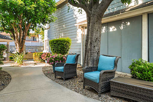 Two chairs with blue cushions are placed on a patio.