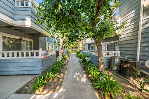 A tree-lined sidewalk in front of a row of apartments