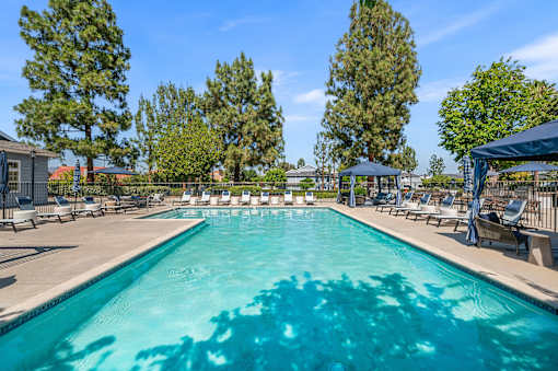 A large swimming pool surrounded by trees and lounge chairs.
