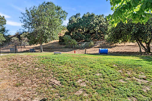 picture of grassy dog park area