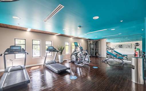 A gym with treadmills, exercise bikes, and other equipment.