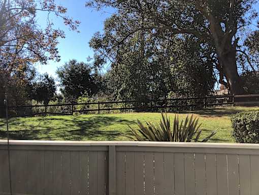 A backyard with a fence and trees.