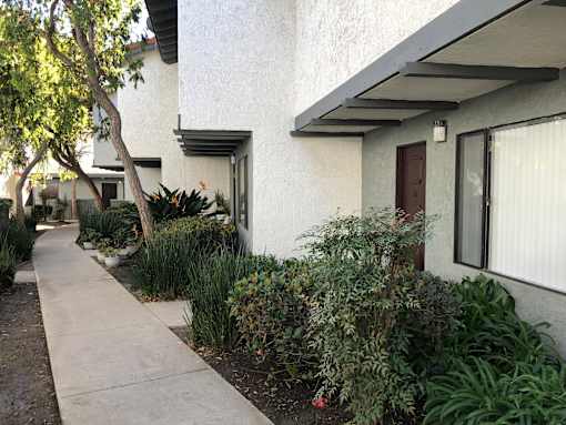 A white house with a brown door and a tree in front.