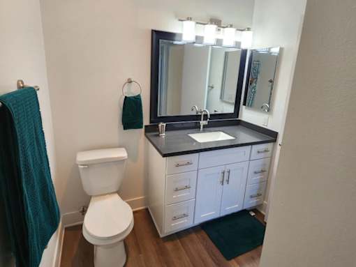 A bathroom with a white toilet and a sink with a mirror above it.