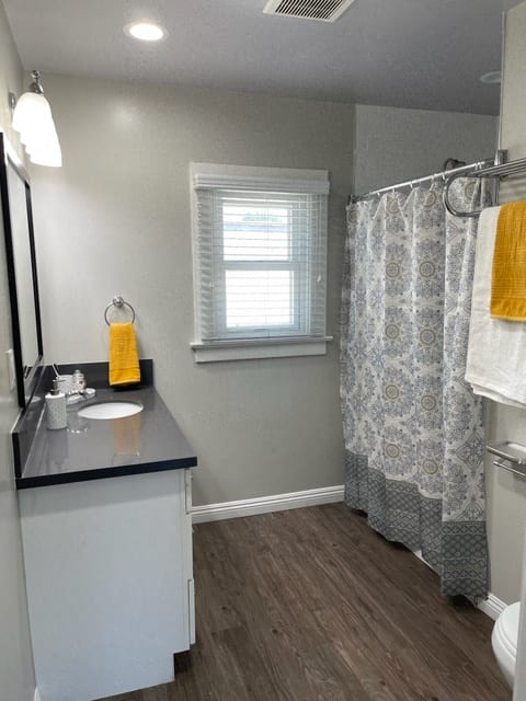 Interior view of bathroom with gray shower curtains