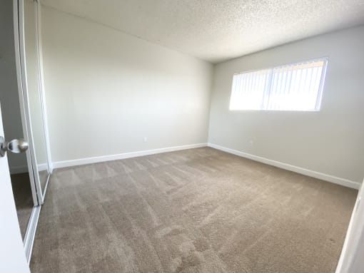an empty living room with carpet and a window