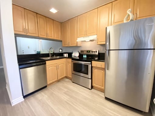 Kitchen with stainless steal appliances