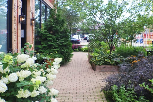a sidewalk filled with flowers and plants outside a building