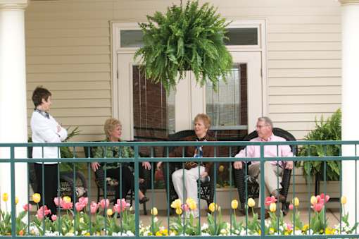 A group of people are sitting on a porch with a green plant hanging from the ceiling.