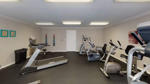 A gym with treadmills, exercise bikes, and other equipment.