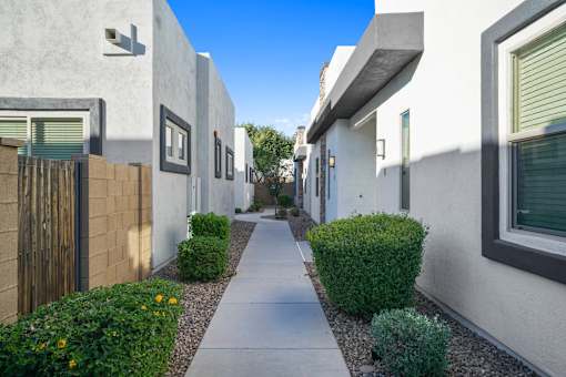 A narrow street between two buildings with a sidewalk and green bushes.