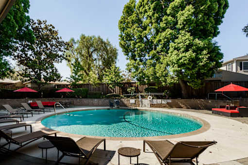 Swimming Pool With Lounge Chairs at Palo Alto Place, California, 94306