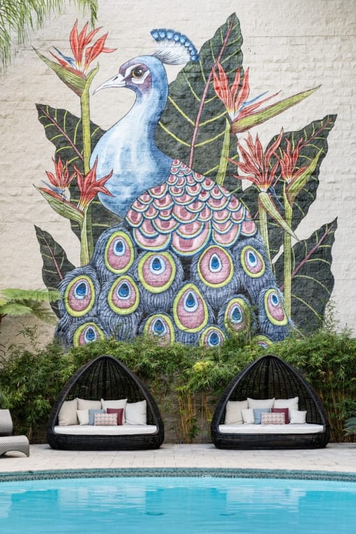 a mural of a peacock on the side of a building with lounge seating by the pool at Vera Cortez Hill, San Diego, CA