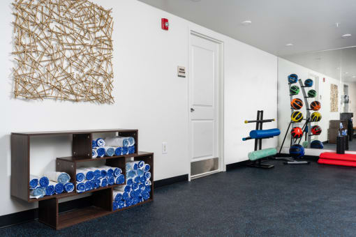 a workout room with weights and a shelf of blue and white glasses and a wall