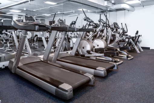 a row of treadmills and other exercise equipment in a gym