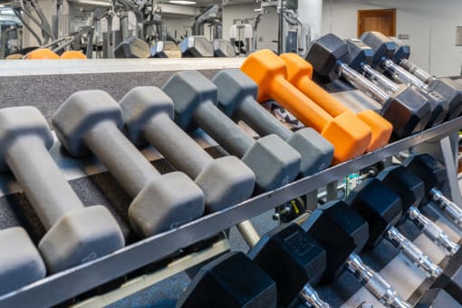 a row of dumbbells on a machine in a gym
