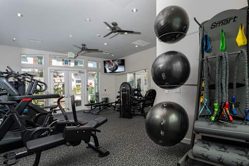 A gym with a row of treadmills on the left and a wall of exercise equipment on the right.