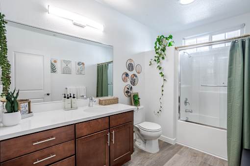 A bathroom with a white countertop and a green plant.