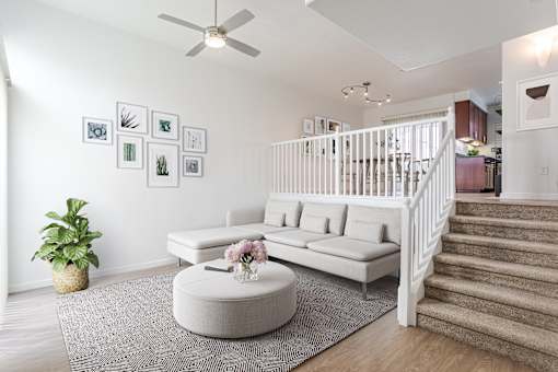 A living room with a white couch, a potted plant, and pictures on the wall.