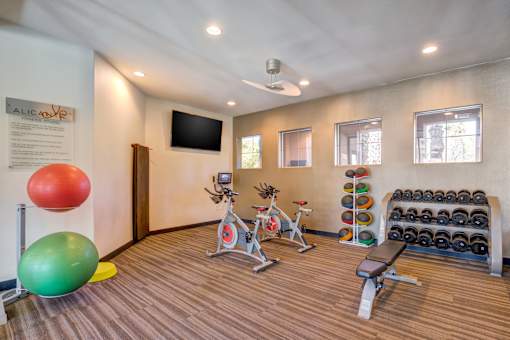 89147 Apartments Spring Valley NV - Alicante - Fitness Studio Featuring Free Wights, Stationary Bikes, Yoga Mats and Exercise Balls