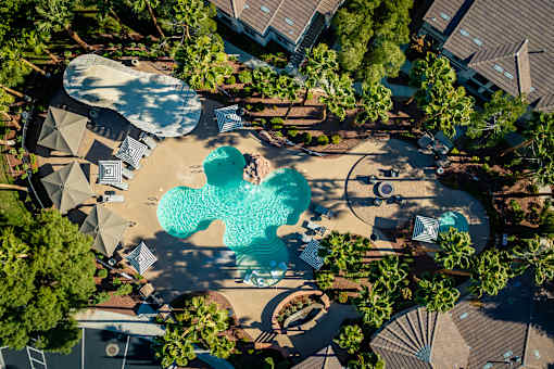 Three-BR Apartments in Spring Valley, NV - Alicante - Aerial View Of Resort Style Pool With Curved Design, Lounge Seating, Shaded Cabanas, And Palm Lined Courtyard Surrounded By Buildings