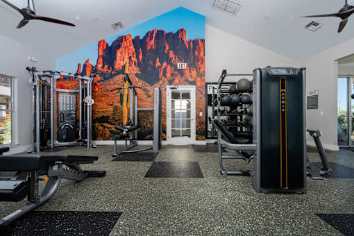 A gym with a large image of a mountain on the wall.