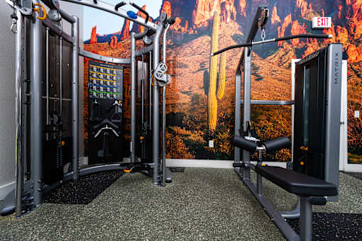 A gym with a picture of a canyon on the wall.