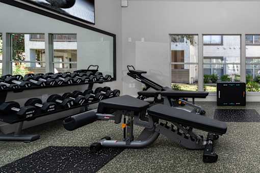 A gym with a row of dumbbells and a rowing machine.