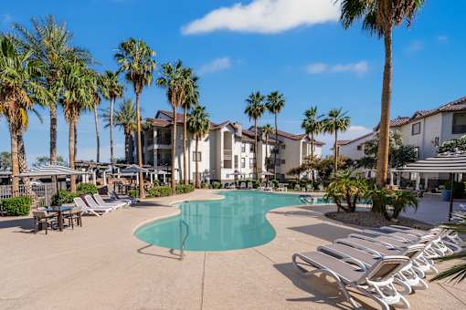 A pool surrounded by palm trees and sun loungers.