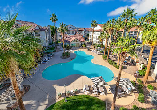 A pool surrounded by palm trees and chairs.