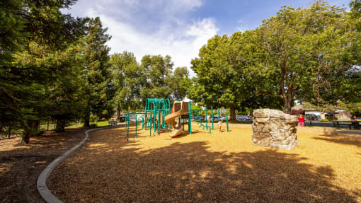a playground with a slide and trees in a park at Avenue Two Apartments, California