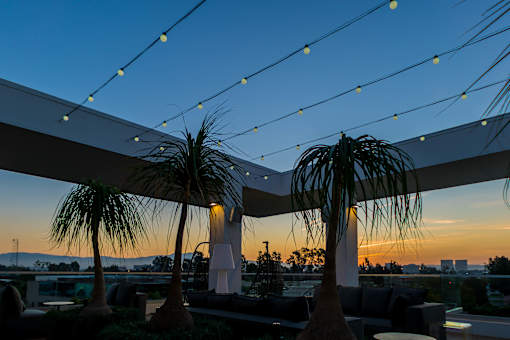 A patio with palm trees and string lights. at Baker Block, Costa Mesa, CA, 92626