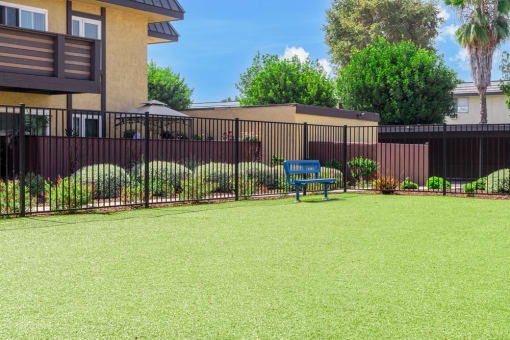a blue bench sitting in the middle of a lush green yard