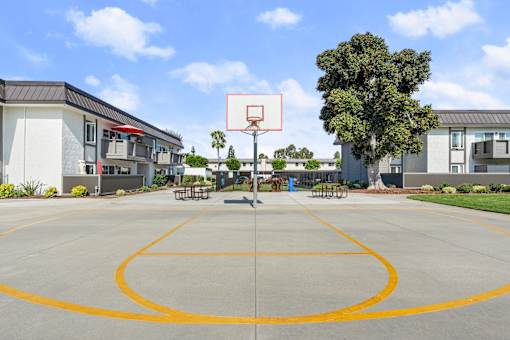 A basketball court is surrounded by apartment buildings.