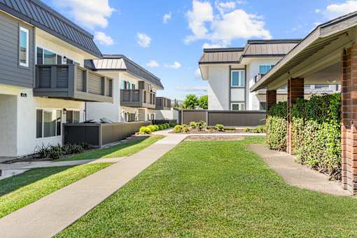 A row of modern houses with a concrete pathway in between.