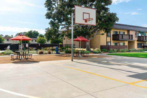 basketball court