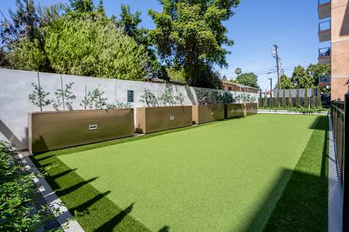 A green artificial turf area with a white wall and trees in the background.