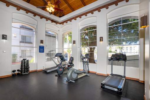 A gym with treadmills, exercise bikes and weights.