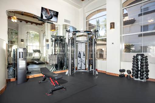 A gym with a variety of equipment including a squat rack, bench, and weights.