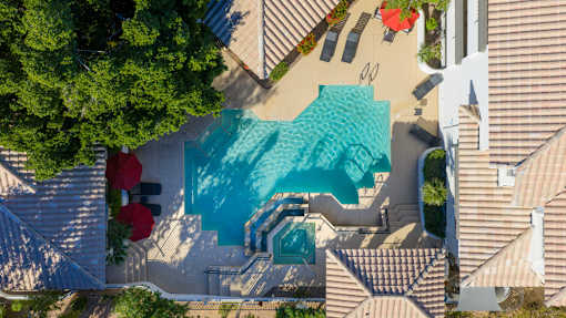 A swimming pool surrounded by a few trees and a house.