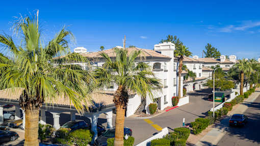 A street view with palm trees and a white building.