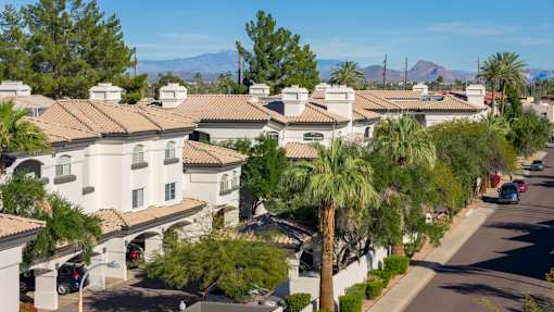 A street view of a residential area with houses and palm trees.