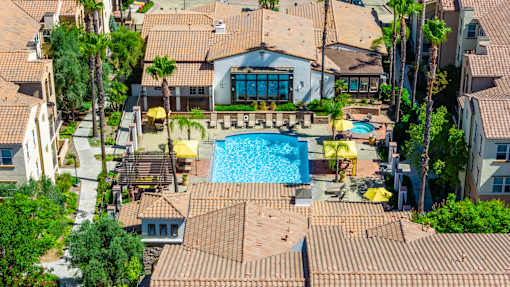 A large swimming pool surrounded by a tiled patio and palm trees.