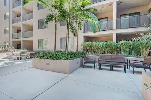 A palm tree stands in a courtyard with benches and plants at Wilshire Valencia Apartment, California, 90017