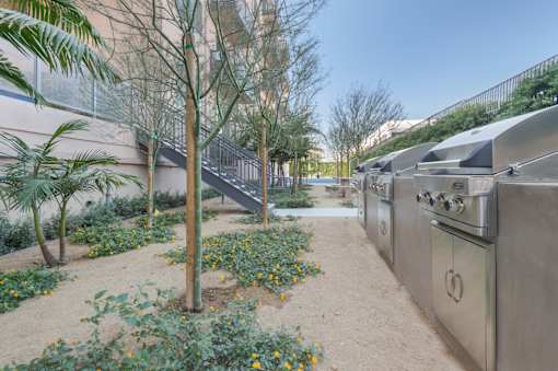 A small garden with a tree and a metal structure at Wilshire Valencia Apartment, Los Angeles, 90017