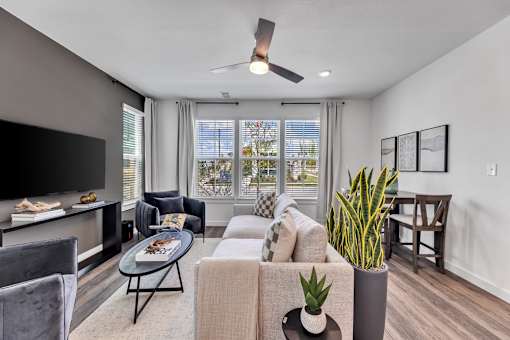 A living room with a grey couch, a coffee table, a television, and a potted plant.