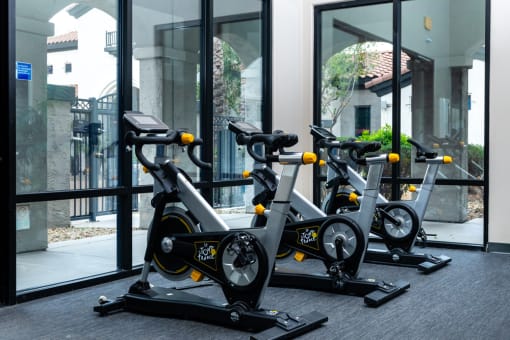 Gym with elliptical bikes at Dobson 2222, Arizona