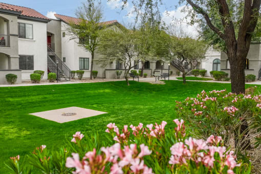 Lush Green Outdoors at Dobson 2222, Arizona