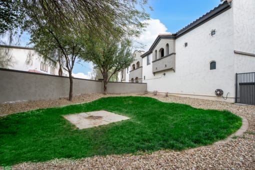 Green Background with large trees at Dobson 2222, Chandler, AZ, 85286
